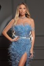 ДЪЛЪГ СЕТ ТОП С ПОЛА FEATHER PRINCESS ДАНТЕЛА ГЛИТЕР ПЕРА СВЕТЛО СИН ДЪЛЪГ СЕТ ТОП С ПОЛА FEATHER PRINCESS ДАНТЕЛА ГЛИТЕР ПЕРА СВЕТЛО СИН